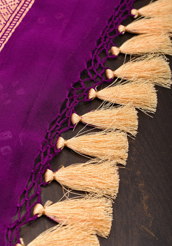 Shikaargah Skirt Border Pure Banarasi Georgette Saree in Plum | SILK MARK CERTIFIED