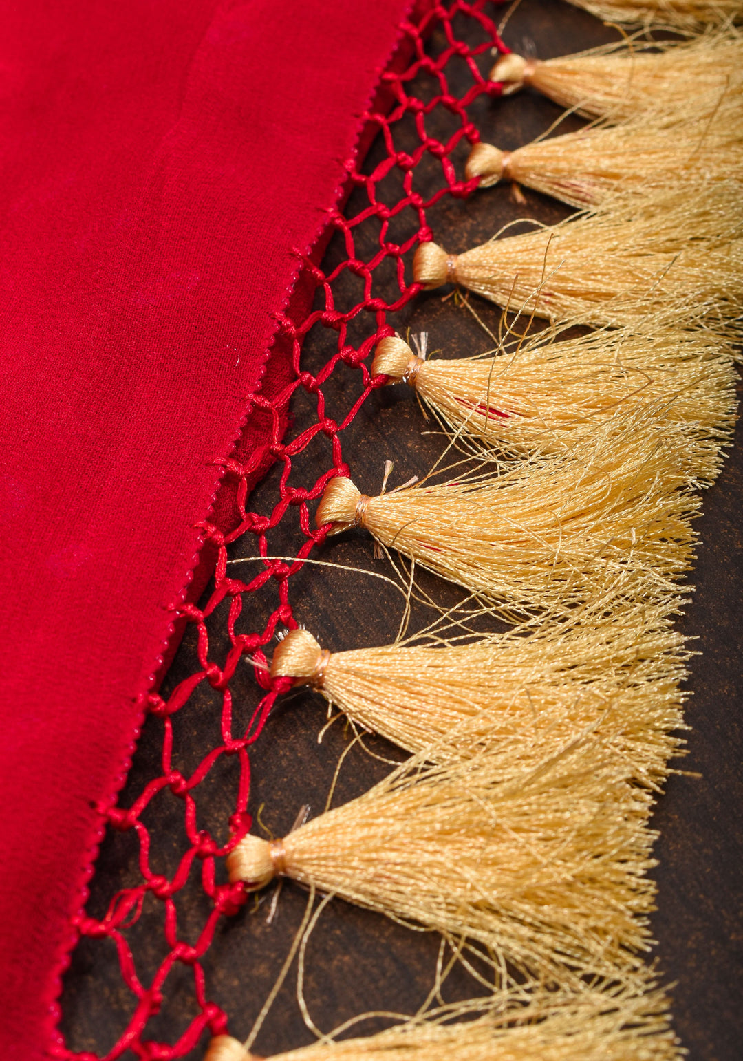 Red Authentic Hand Bandhej Banarasi Silk Georgette Saree| SILK MARK CERTIFIED