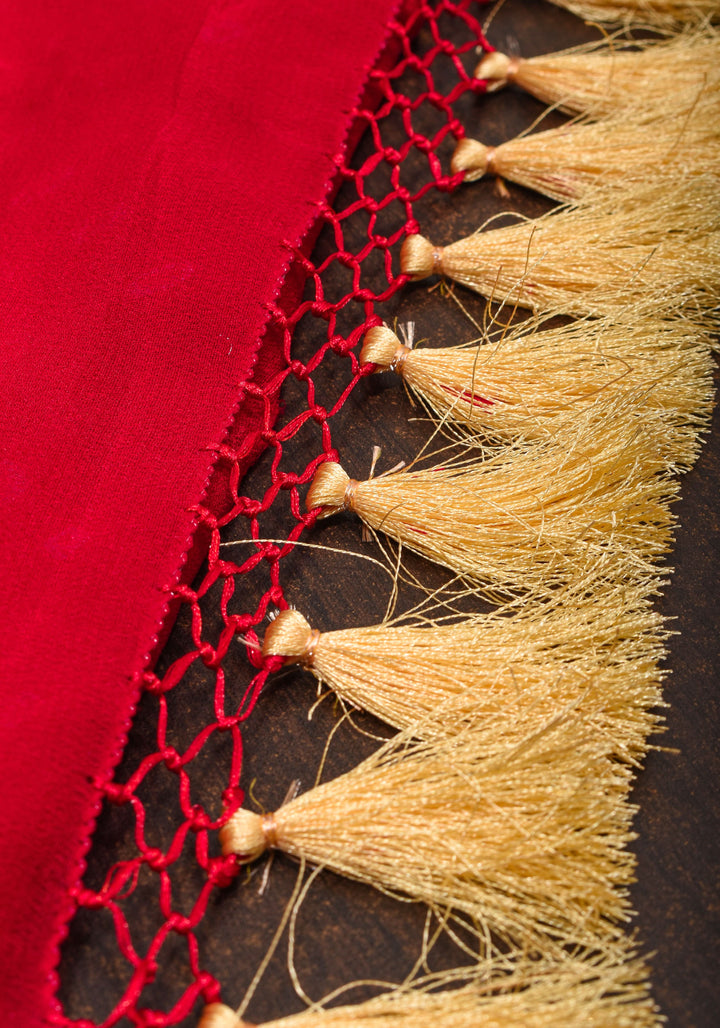 Red Authentic Hand Bandhej Banarasi Silk Georgette Saree| SILK MARK CERTIFIED