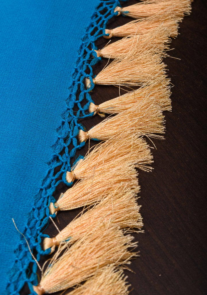 Authentic Sarkam Bandhej Silk Georgette Saree in Blue with zari Border | SILK MARK CERTIFIED