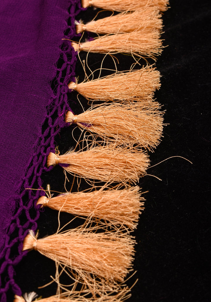 Exquisite Shikaargah Jaal Hand Bandhej Pure Banarasi Silk Georgette Saree in Purple | SILK MARK CERTIFIED