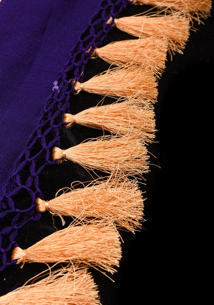Purple Authentic Hand Bandhej on Shikaargah Skirt Border Banarasi Silk Georgette Saree | SILK MARKED CERTIFIED
