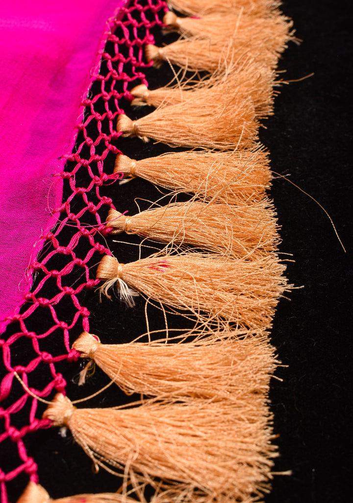 Pink Banarasi Silk Georgette Saree with Authentic Hand Bandhej on Shikaargah skirt border and Jaal Pattern | SILK MARKED CERTIFIED
