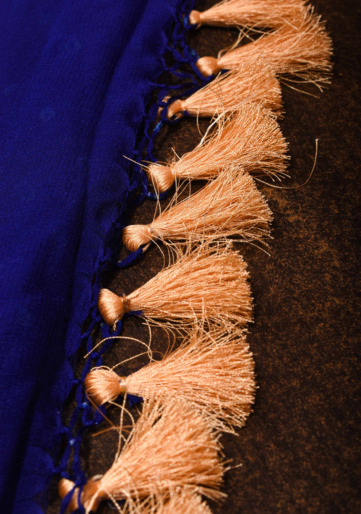 Navy Blue Bandhej on Shikaargah Jaal Pure Silk Georgette Banarasi Saree with Royal Procession | SILK MARK CERTIFIED