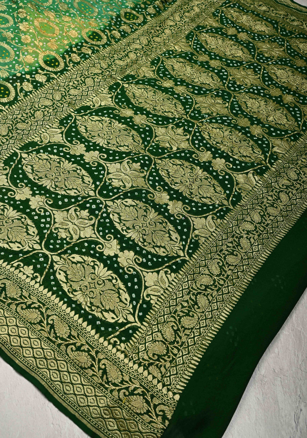 Authentic Rainbow Hand Bandhej Banarasi Jaal Silk Georgette Saree with Green Pallu Zari Border | SILK MARK CERTIFIED