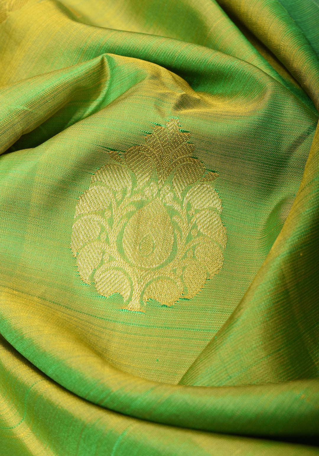Green Dual Tone pure Kanjivaram Silk Saree with Damask Motifs and Zari Border | SILK MARK CERTIFIED