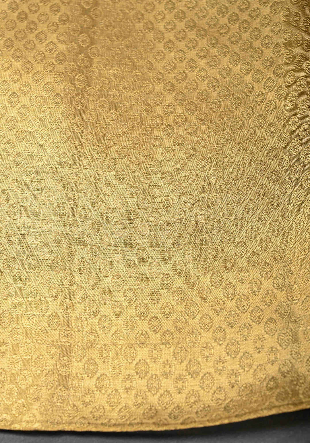 Tan Gold Kanjivaram Tissue Silk Saree with Floral Brocade Jaal and Zari Border | SILK MARK CERTIFIED