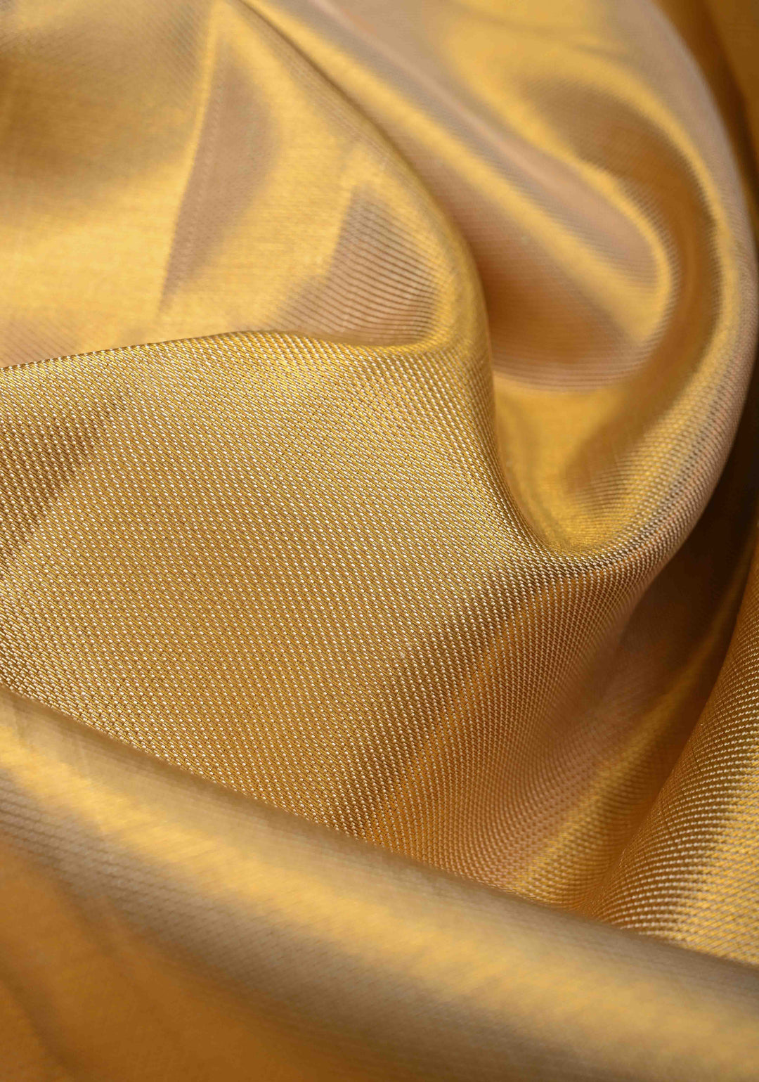 Gold Tissue Kanjivaram Silk Saree and Contrast Zari Border | SILK MARK CERTIFIED