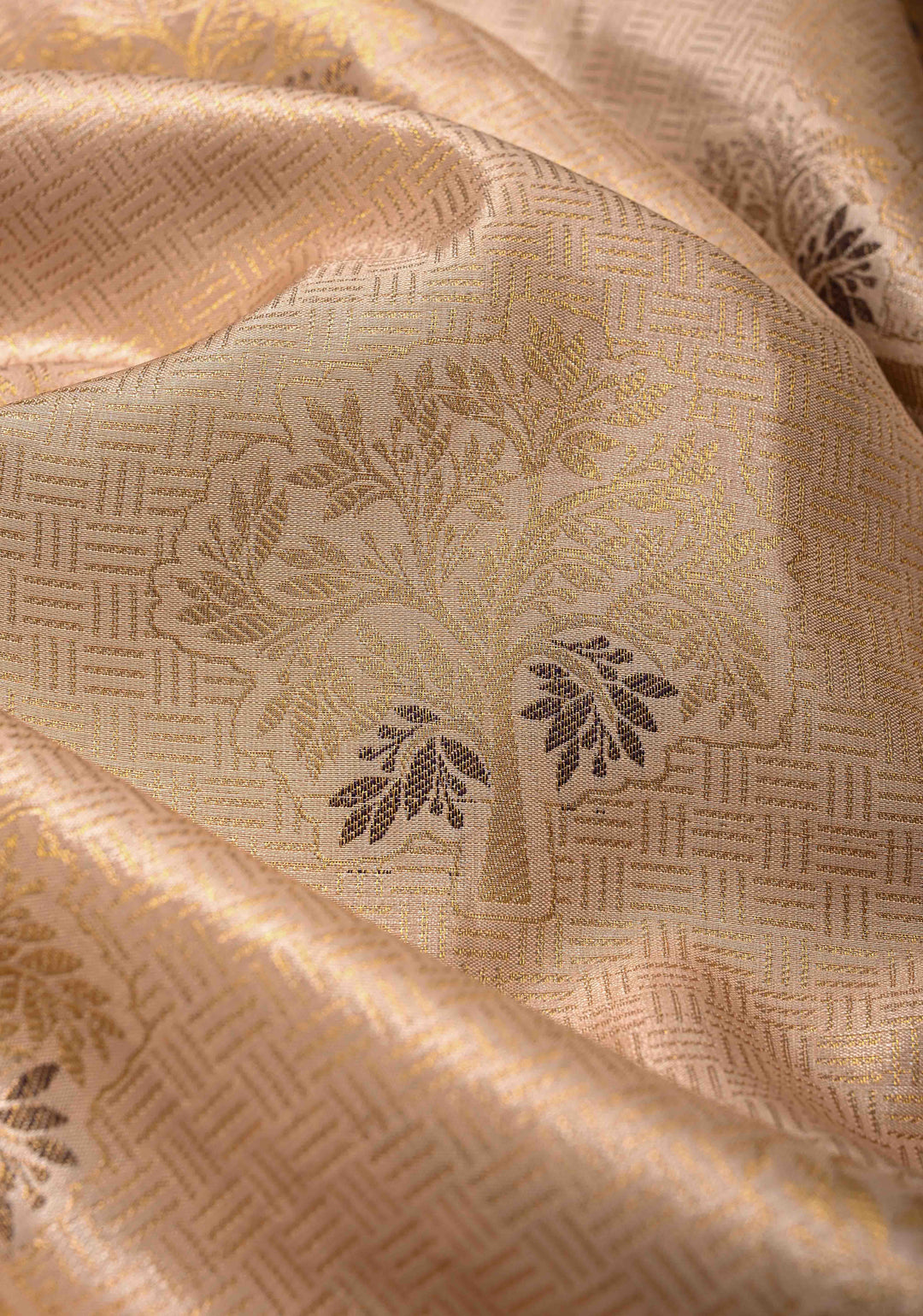 Tan Brocade on Kanjivaram Tissue Semi Silk Saree with Meenakari Buttas and Contrast Zari Border