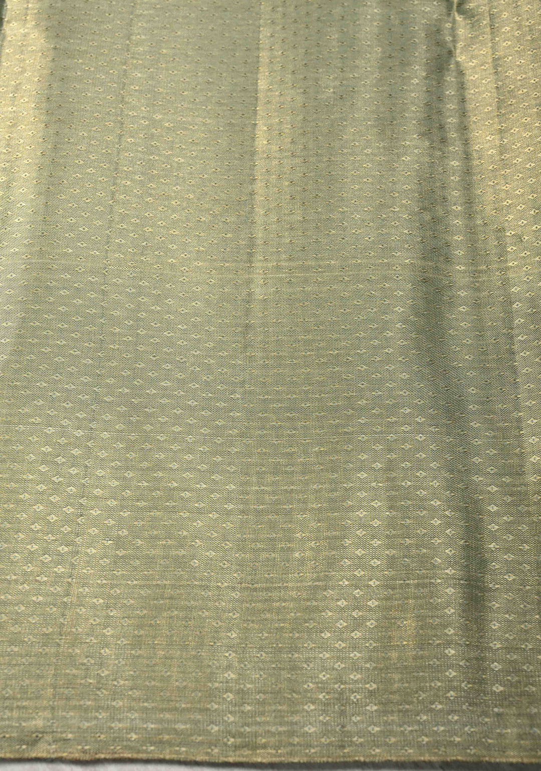 Green Dual tone Tissue Brocade Kanjivaram Pure Silk Saree Zari Border | SILK MARK CERTIFIED