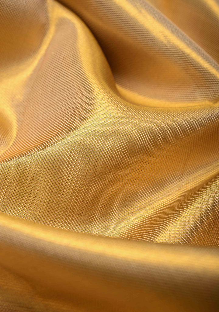 Gold Tissue  Kanjivaram Pure Silk Saree with wide Zari Border | SILK MARK CERTIFIED