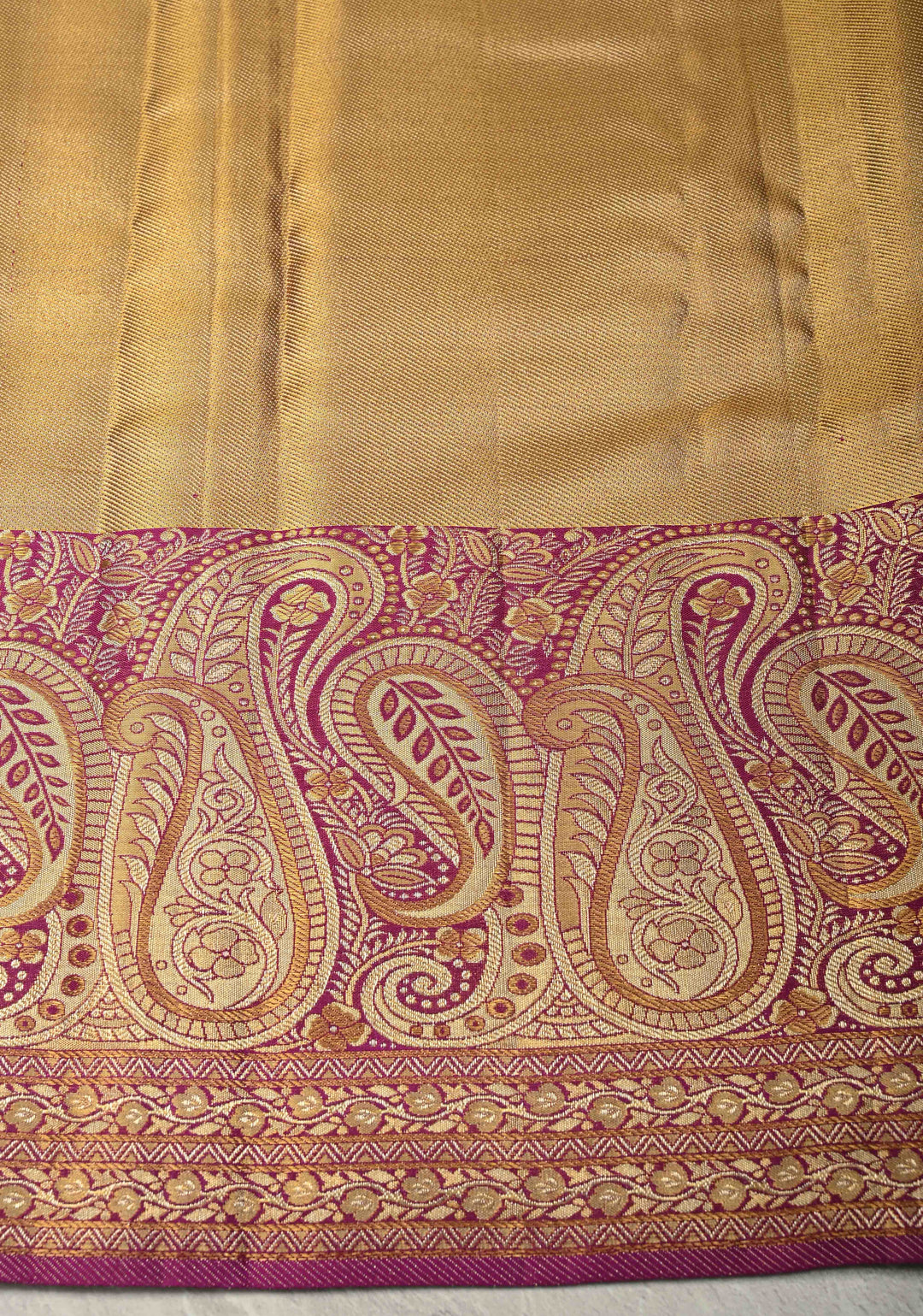 Beige Pure Kanjivaram Tissue Silk Saree with Meenakari Brocade Jaal and Contrast Pashmina Style Zari Border | SILK MARK CERTIFIED