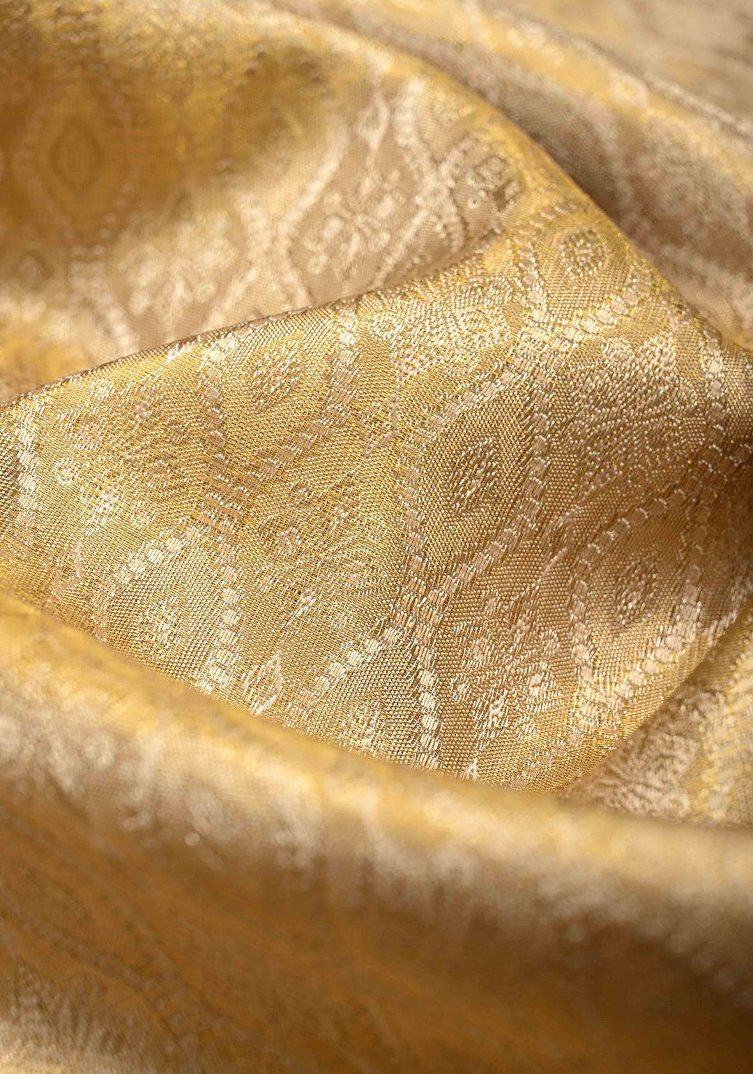Beige Pure Kanjivaram Tissue Silk Saree with Meenakari Brocade Jaal and Contrast Pashmina Style Zari Border | SILK MARK CERTIFIED