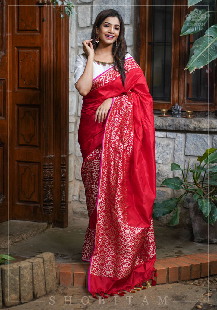 Grand Banarasi Silk Saree with Trellis Pattern Border in Red | SILK MARK CERTIFIED