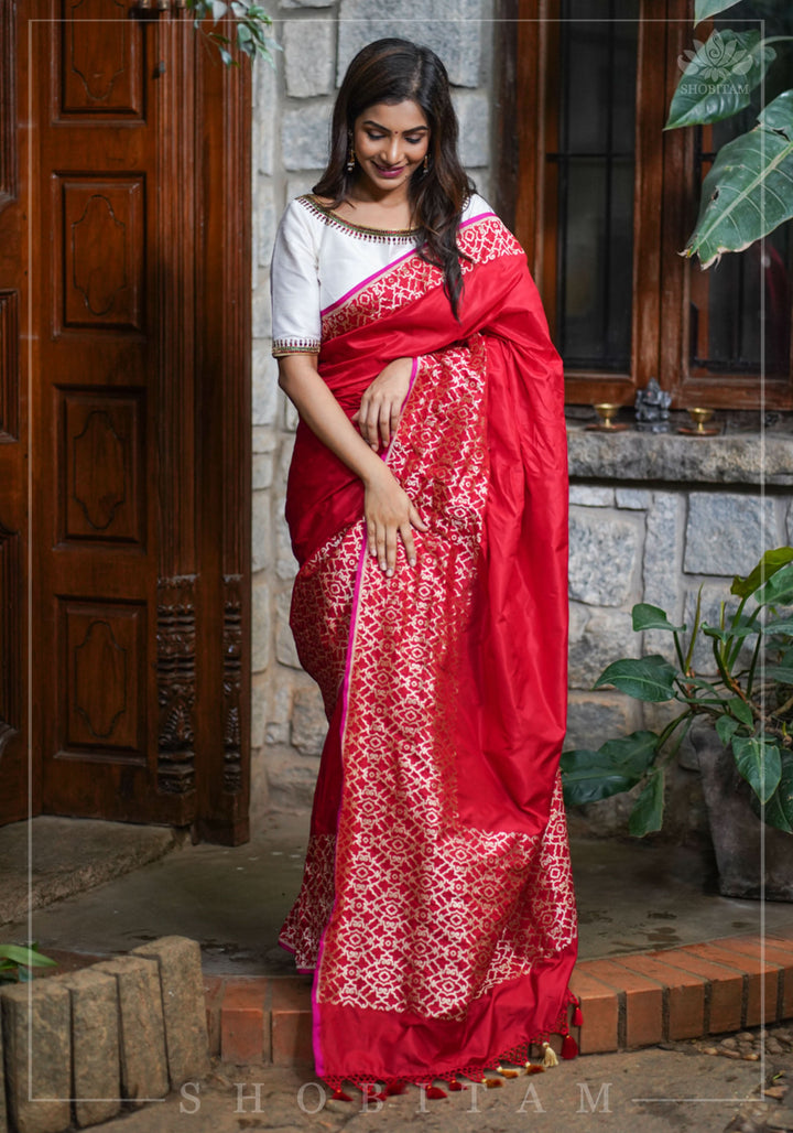 Grand Banarasi Silk Saree with Trellis Pattern Border in Red | SILK MARK CERTIFIED