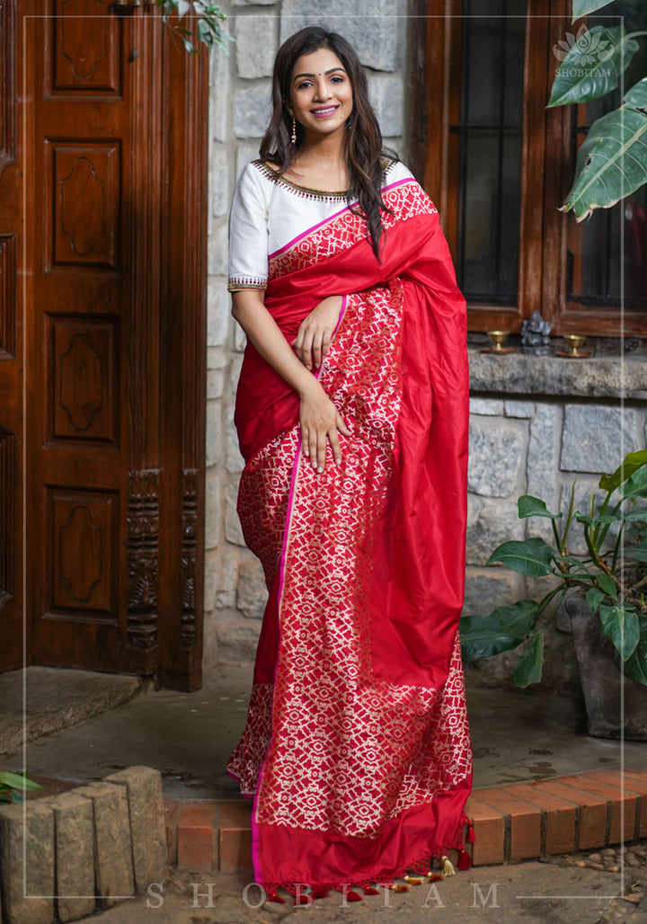 Grand Banarasi Silk Saree with Trellis Pattern Border in Red | SILK MARK CERTIFIED