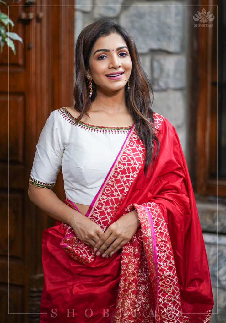 Grand Banarasi Silk Saree with Trellis Pattern Border in Red | SILK MARK CERTIFIED