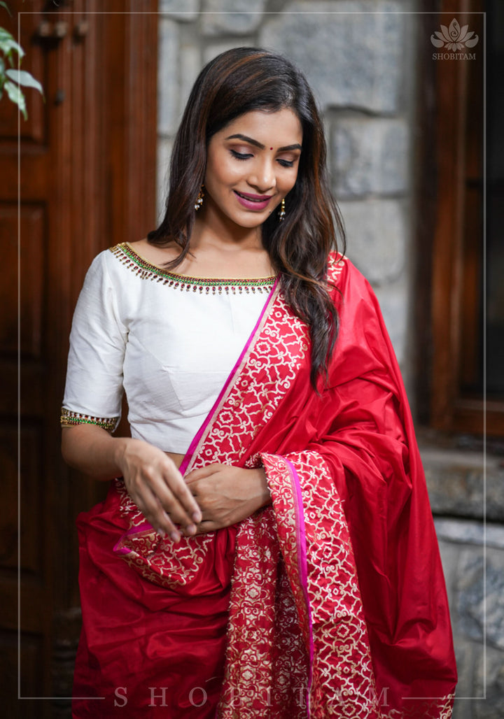 Grand Banarasi Silk Saree with Trellis Pattern Border in Red | SILK MARK CERTIFIED