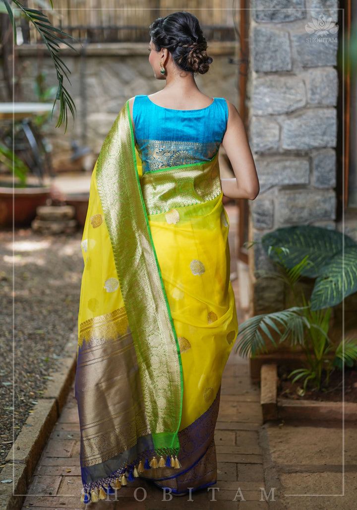 Pure Raw Silk Sleeveless blouse in Blue Green with Wide Kanchi Border detailing in back