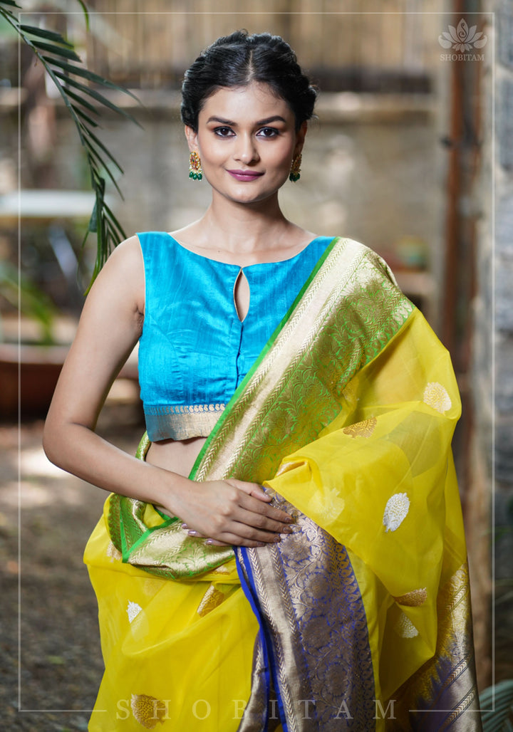 Pure Raw Silk Sleeveless blouse in Blue Green with Wide Kanchi Border detailing in back