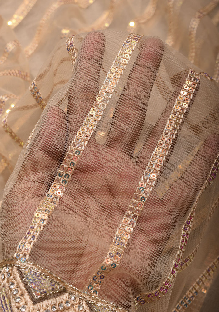 Beige tone Stripes Design Sequins on Net Saree