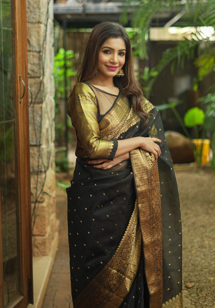 Celebrity Chanderi Silk Saree in Black with Zari chunri Butis and wide zari border