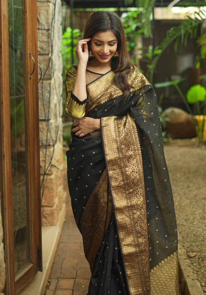 Celebrity Chanderi Silk Saree in Black with Zari chunri Butis and wide zari border
