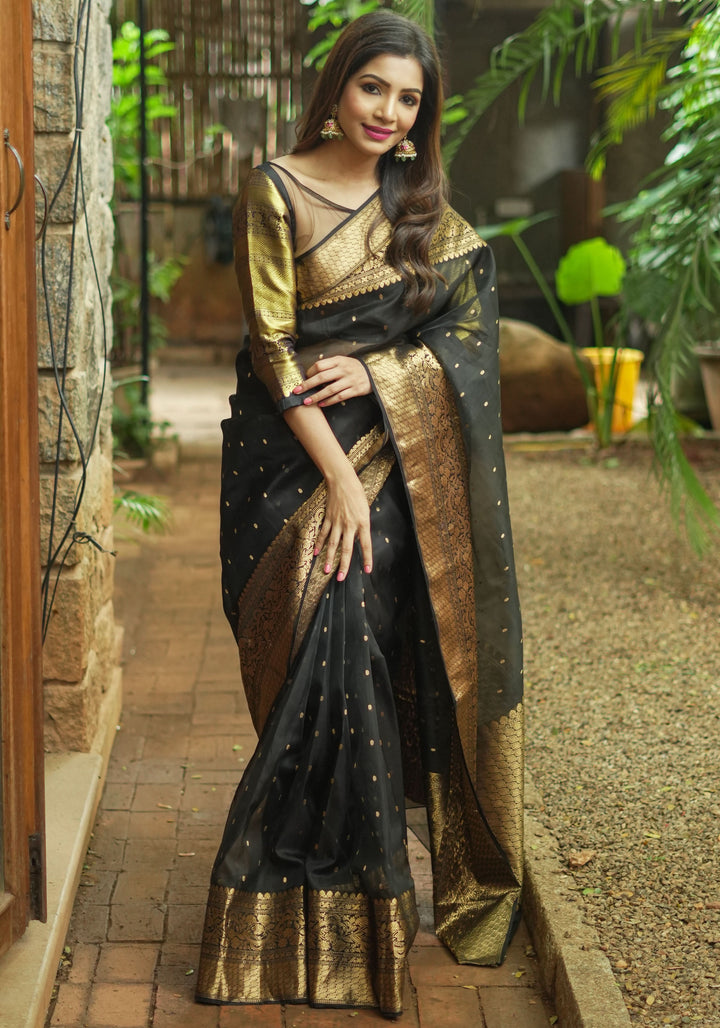 Celebrity Chanderi Silk Saree in Black with Zari chunri Butis and wide zari border