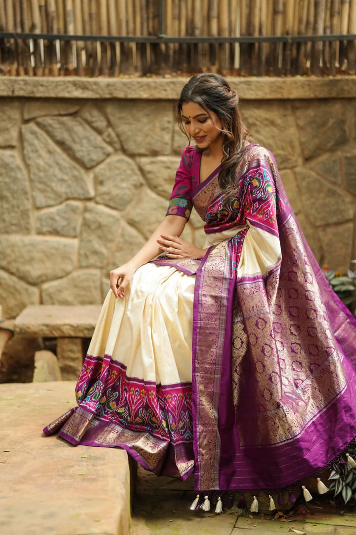 Equal Borders Stunning Ikkat Patola Kanjivaram Fusion Silk Saree with Panel design and zari border | SILK MARK CERTIFIED