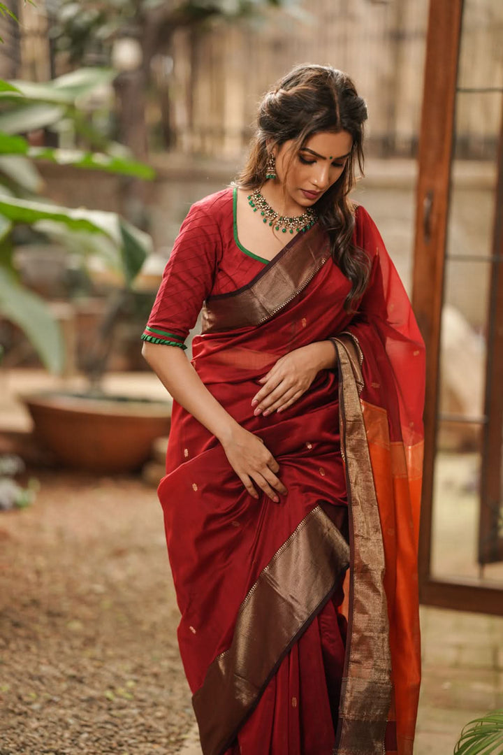 Maroon tone Handwoven Maheshwari Silk Cotton Saree with zari borders and contrast pallu