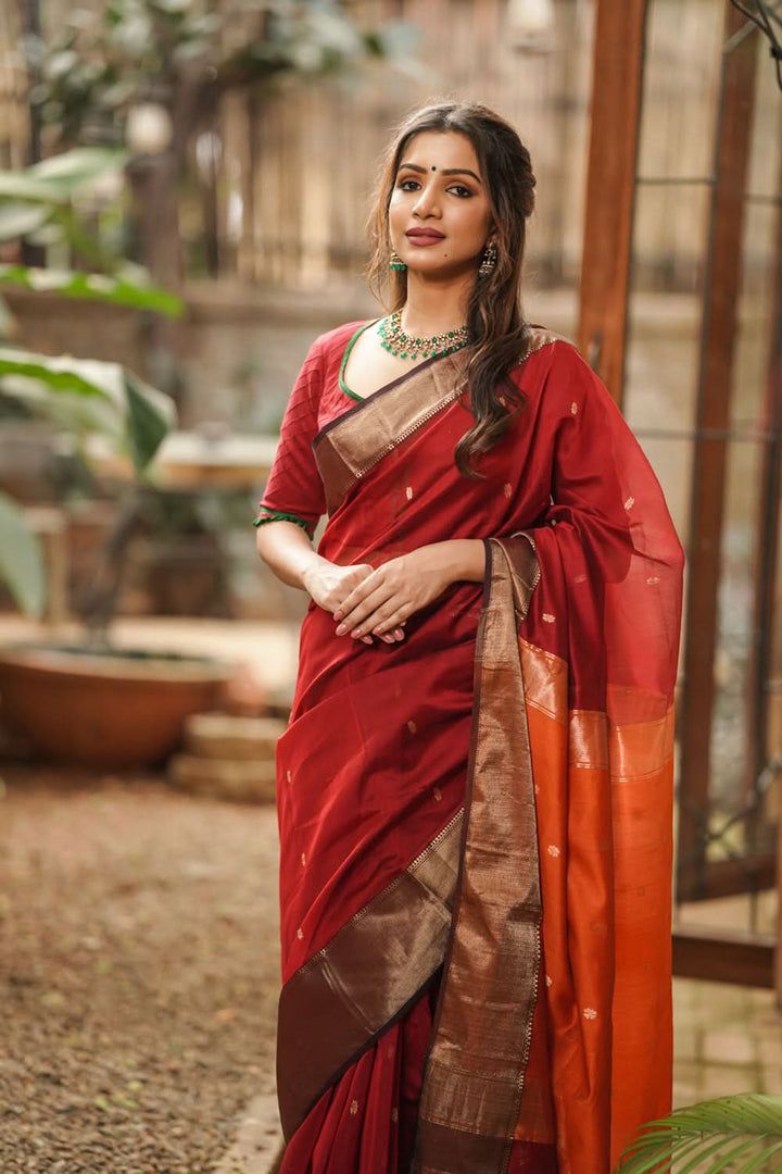 Maroon tone Handwoven Maheshwari Silk Cotton Saree with zari borders and contrast pallu