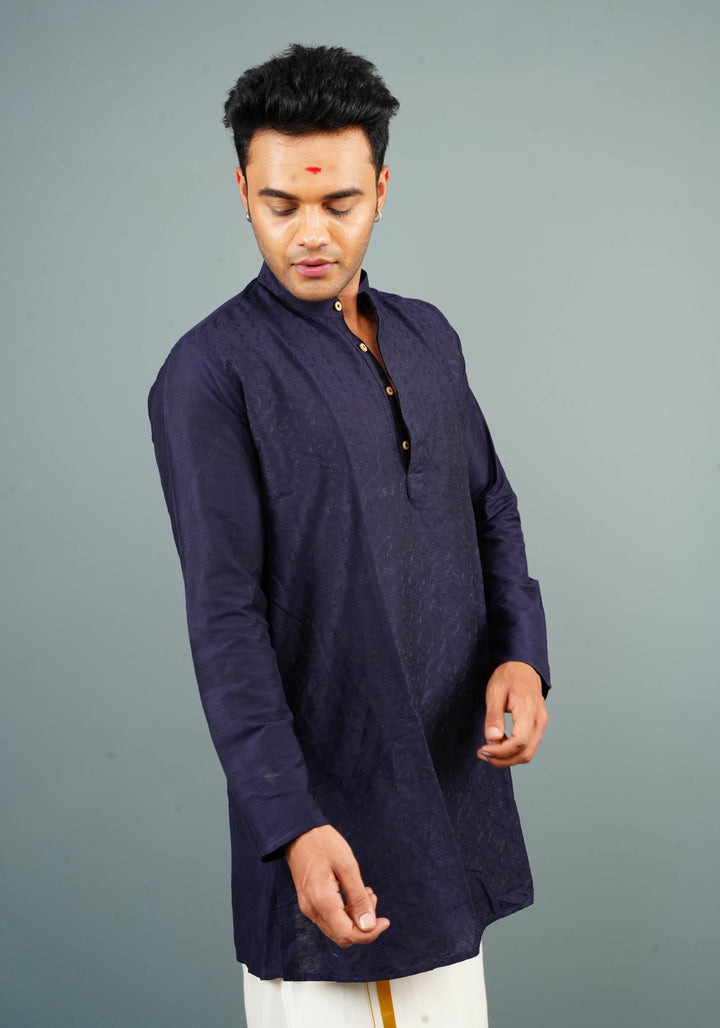Blue Embroidered Cotton Blend Straight Kurta for Men