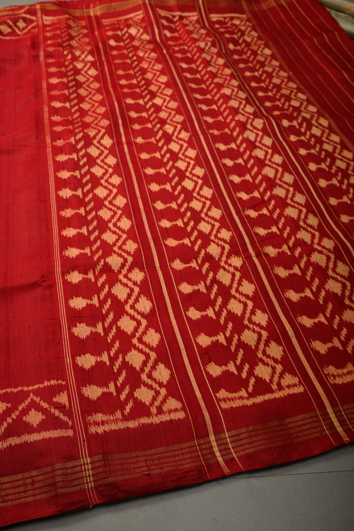 Maroon Rajkot Patola Single Ikkat Saree in Pure Raw Silk with Panel Design and Minimal Border | SILK MARK CERTIFIED | SHOBITAM