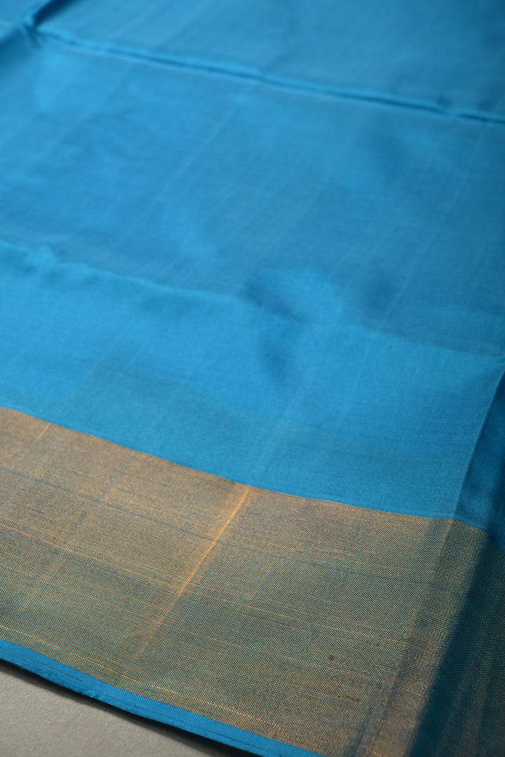 Sky Blue Uppada Handloom Silk Saree with Tissue Zari Border | SILK MARK CERTIFIED | SHOBITAM
