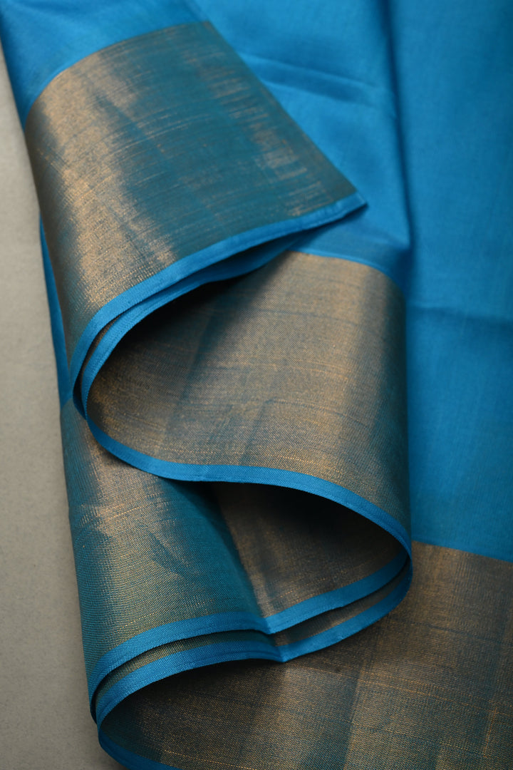Sky Blue Uppada Handloom Silk Saree with Tissue Zari Border | SILK MARK CERTIFIED | SHOBITAM