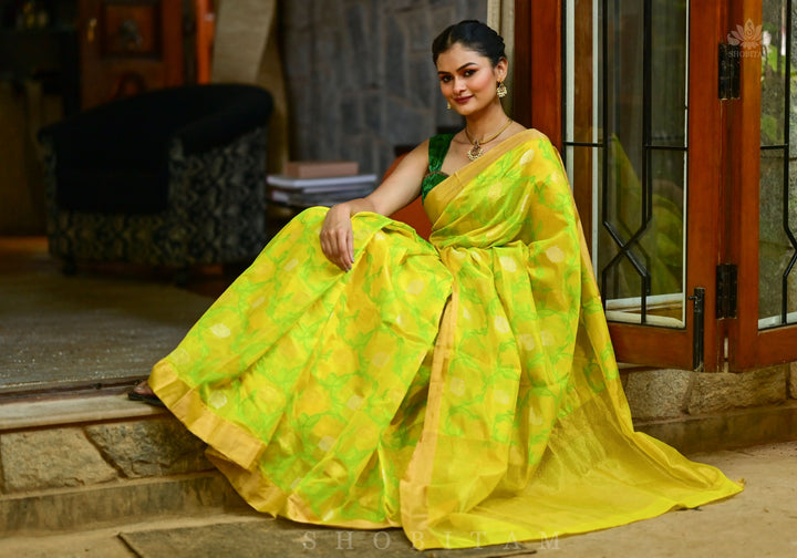 Chanderi Silk Handwoven Saree in yellow with Green all over floral Jaal and Tissue border | SHOBITAM