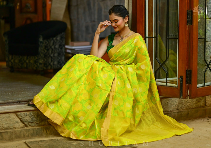Chanderi Silk Handwoven Saree in yellow with Green all over floral Jaal and Tissue border | SHOBITAM
