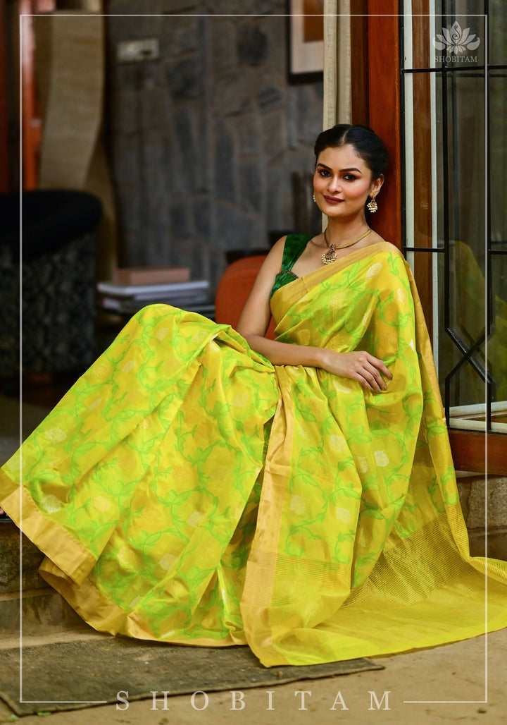 Chanderi Silk Handwoven Saree in yellow with Green all over floral Jaal and Tissue border | SHOBITAM