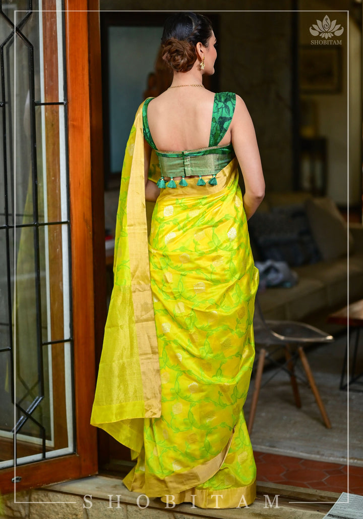 Chanderi Silk Handwoven Saree in yellow with Green all over floral Jaal and Tissue border | SHOBITAM