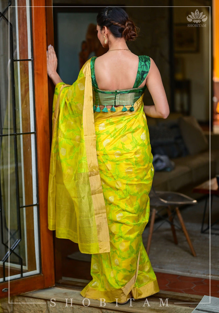 Chanderi Silk Handwoven Saree in yellow with Green all over floral Jaal and Tissue border | SHOBITAM