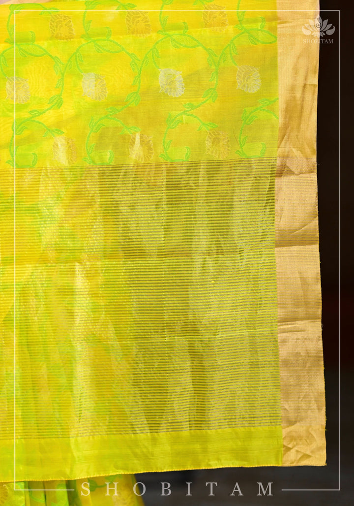 Chanderi Silk Handwoven Saree in yellow with Green all over floral Jaal and Tissue border | SHOBITAM