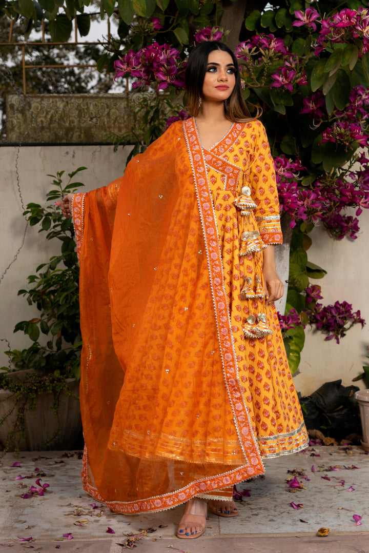 MEHAR LIGHT BROWN HAND BLOCK ANARKALI SET | SHOBITAM