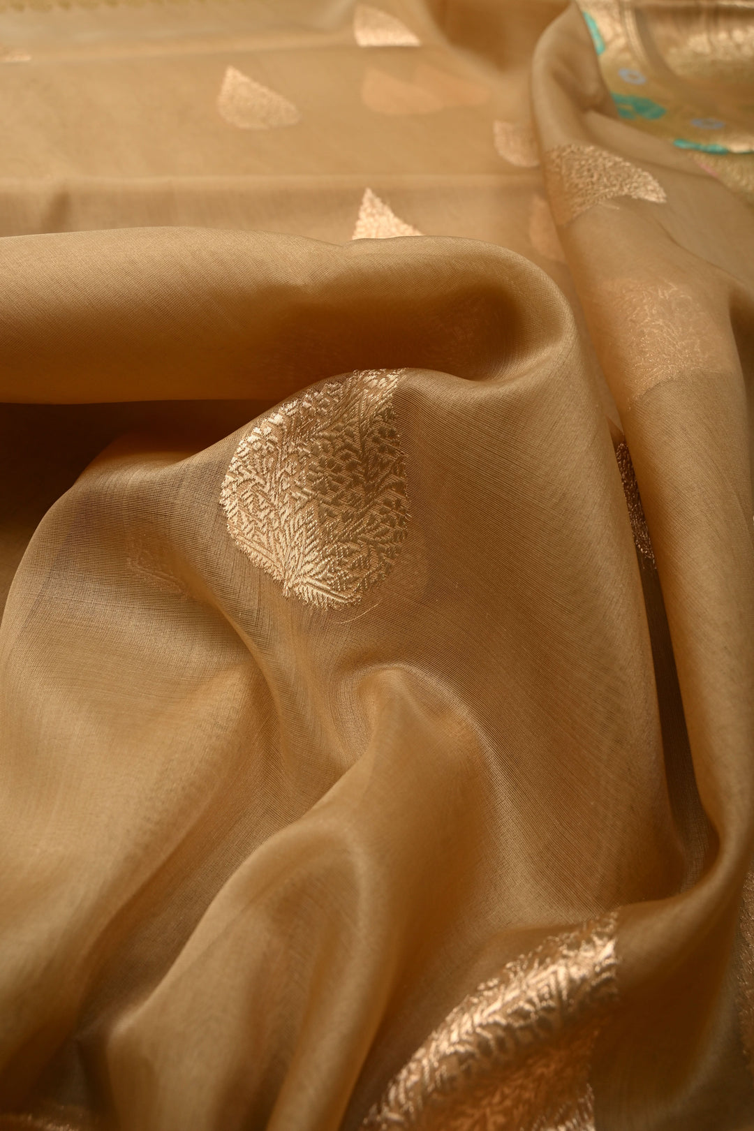 Chiku Pure Banarasi Silk Organza Saree with Damask Motif and Floral Meenakari Zari Border | SILK MARK CERTIFIED | SHOBITAM