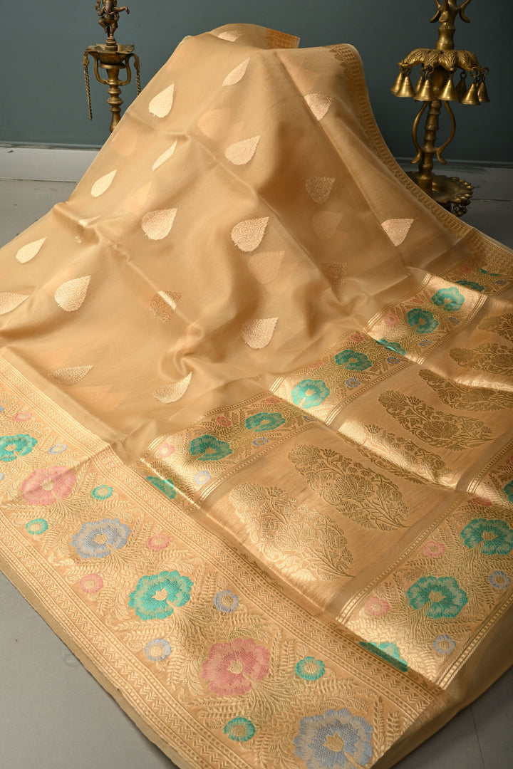 Chiku Pure Banarasi Silk Organza Saree with Damask Motif and Floral Meenakari Zari Border | SILK MARK CERTIFIED | SHOBITAM