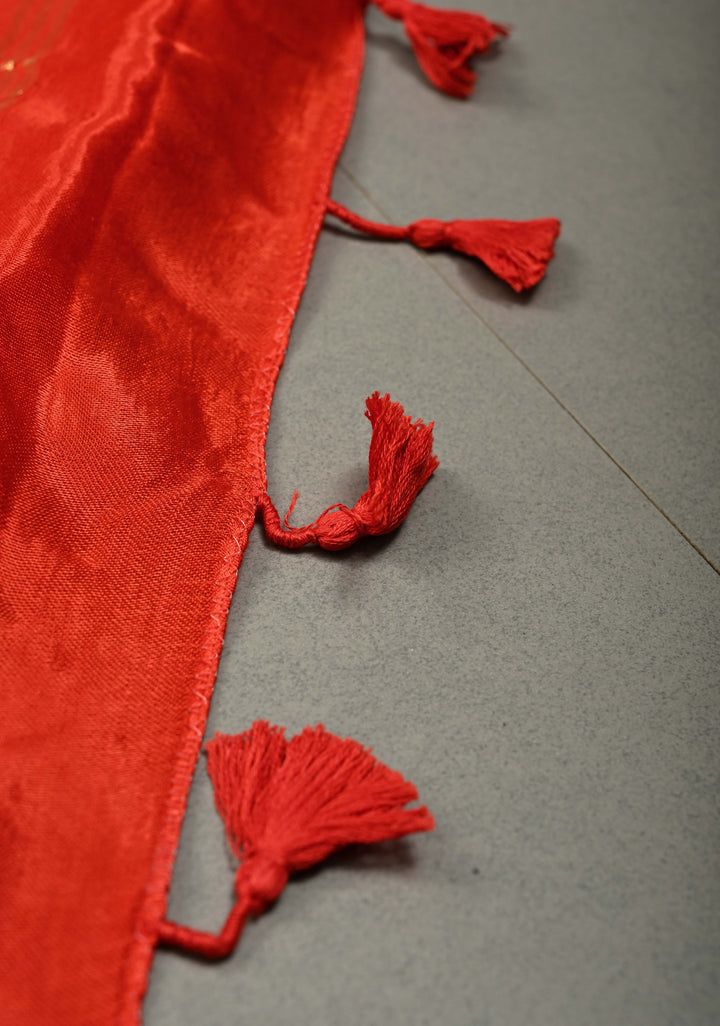 Orangish Red Borderless Modal Silk Saree with Lagda Patta Crushed Pallu | SHOBITAM