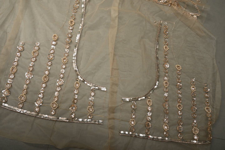 Champagne Stripes Design Sequins, Cutdana, Moti Embellishment on Net Saree with Scallop Border