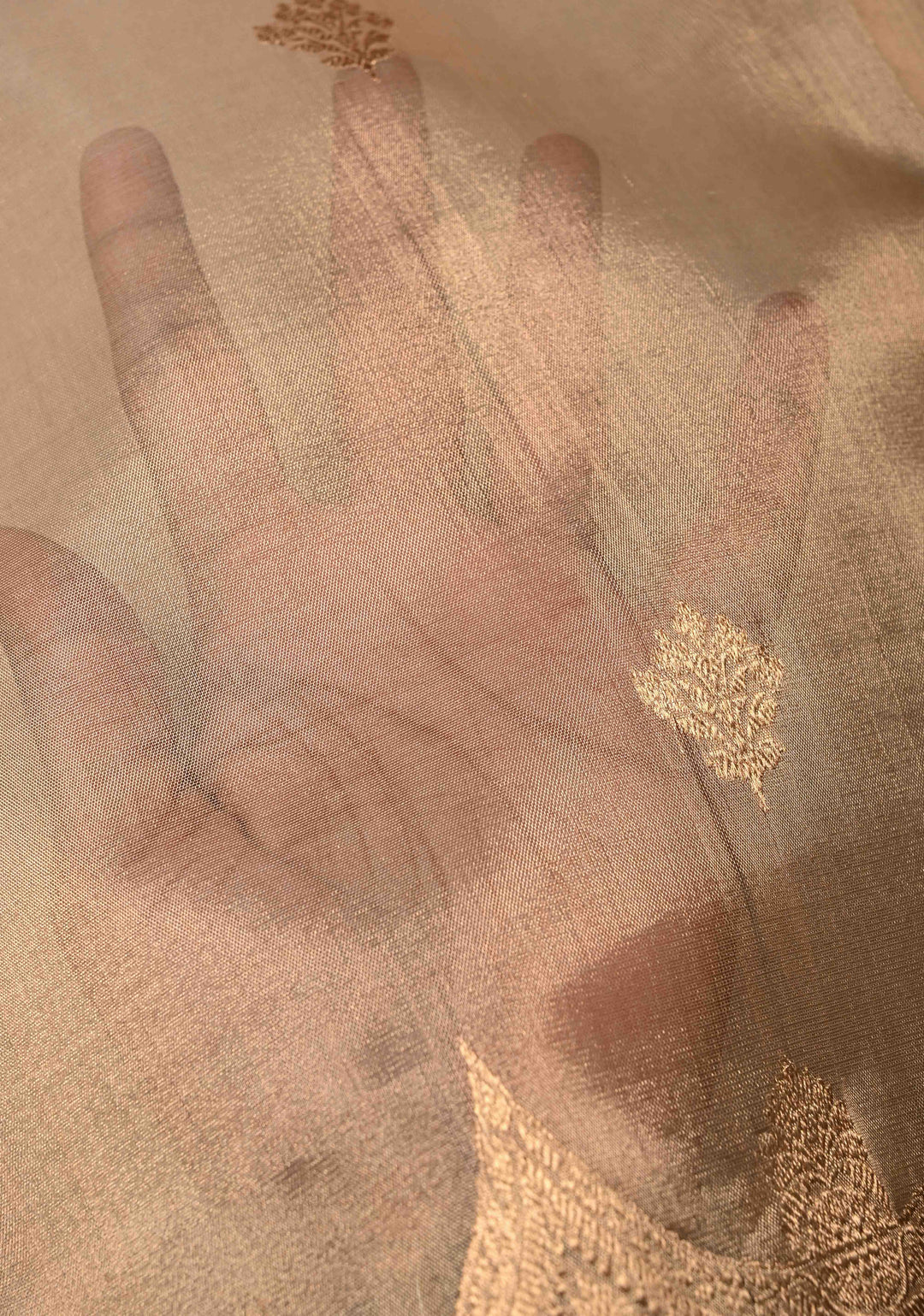 Beige Pure Banarasi Tissue Organza Silk Handloom Saree with Sona Rupa Zari Buttas and Scallop Zari Border | SILK MARK CERTIFIED | SHOBITAM
