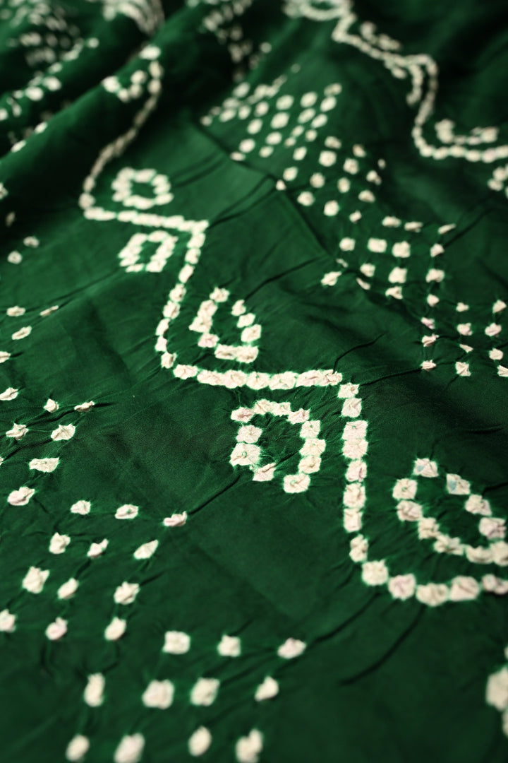 Black-White Ajrakh Hand Block Print on Modal Silk Saree with Vertical Stripes Pattern and Bandhni Pallu | SHOBITAM