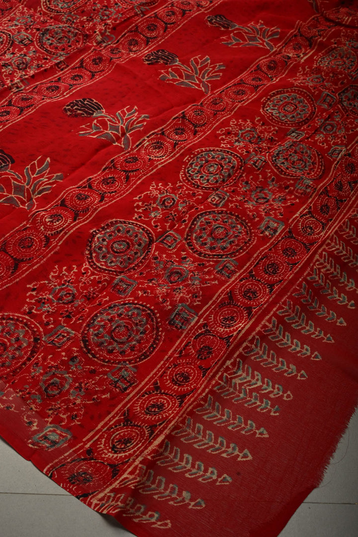 Blood Red Chiffon Saree with Nandhi Motifs Hand Block Print  | SHOBITAM