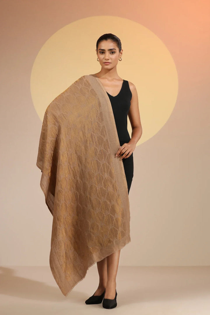 Ashti Cashmere Fine Wool Stole | SHOBITAM